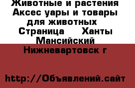 Животные и растения Аксесcуары и товары для животных - Страница 2 . Ханты-Мансийский,Нижневартовск г.